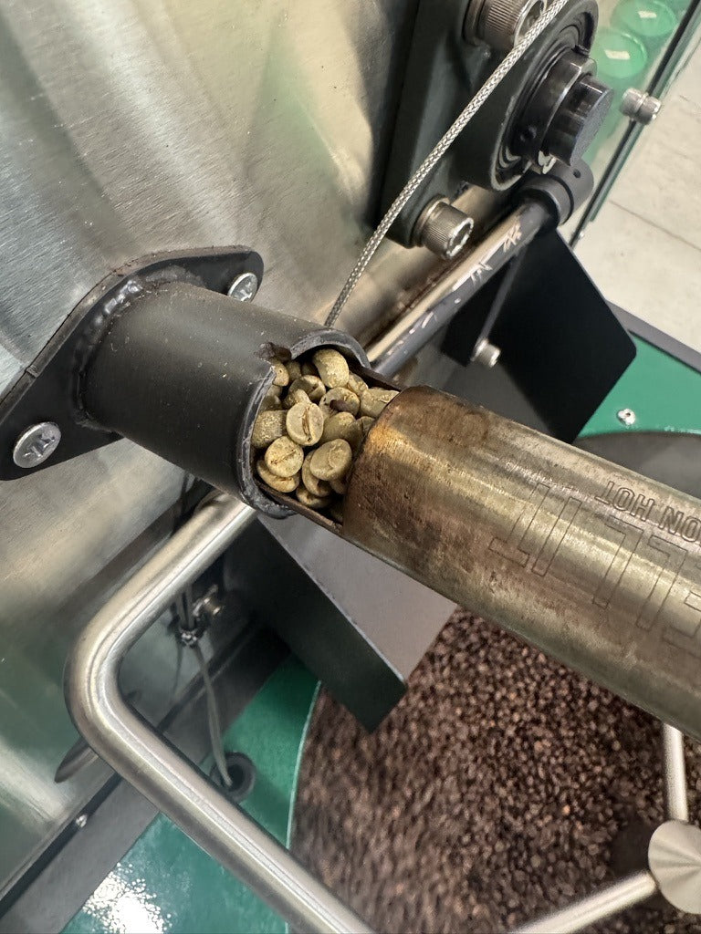 Green specialty-grade coffee beans in the tryer before roasting at Sanctuary Roasting Clovis