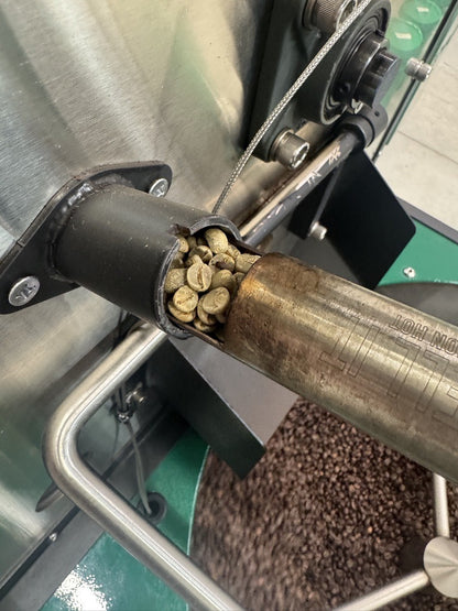 Green specialty-grade coffee beans in the tryer before roasting at Sanctuary Roasting Clovis