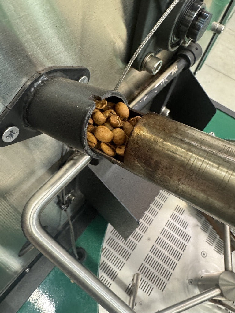 Light roast Brazil single origin coffee beans in the roaster tryer, roasted weekly in Clovis