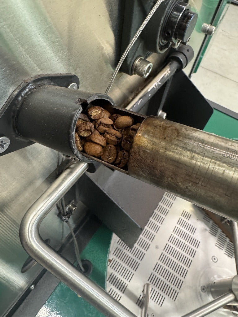 Medium roast Trinity Blend coffee beans in the roaster tryer at Sanctuary Roasting Clovis
